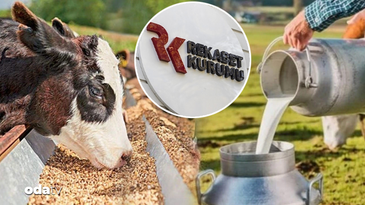 39 sut sanayicisine sut karsiligi yem sorusturmasi uvLPHVPB