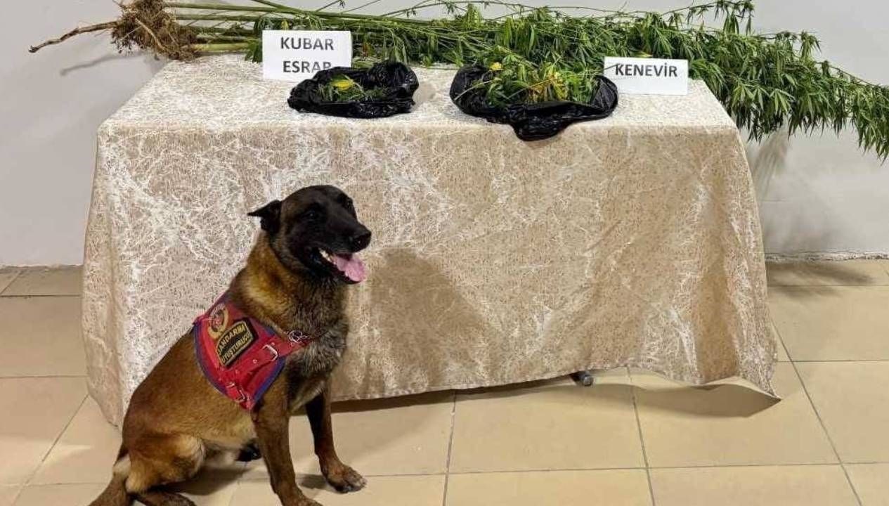 elazigda uyusturucu operasyonu 1 supheli yakalandi xu2fCPLF