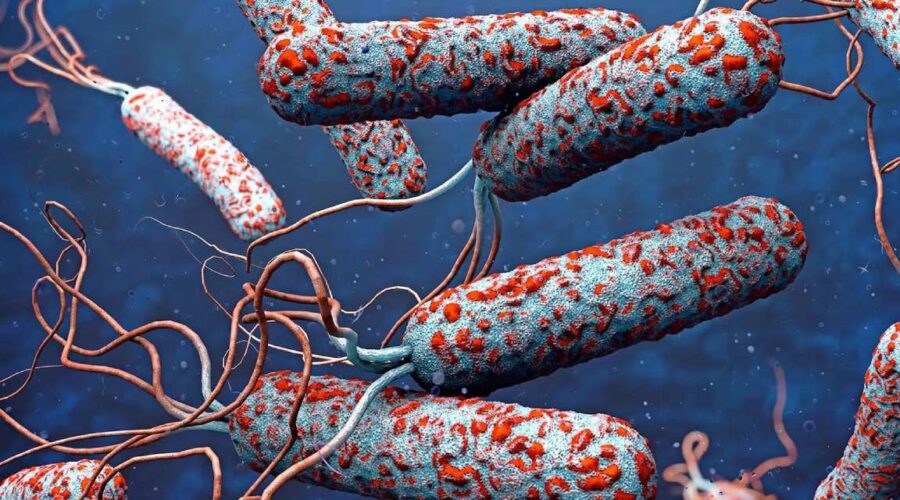 salginda 4738 kisi oldu dsoden uyari hXH33ZaC