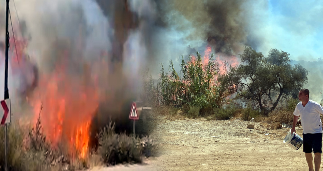 yola atilan sigara izmariti yangin cikardi AlagZy9v
