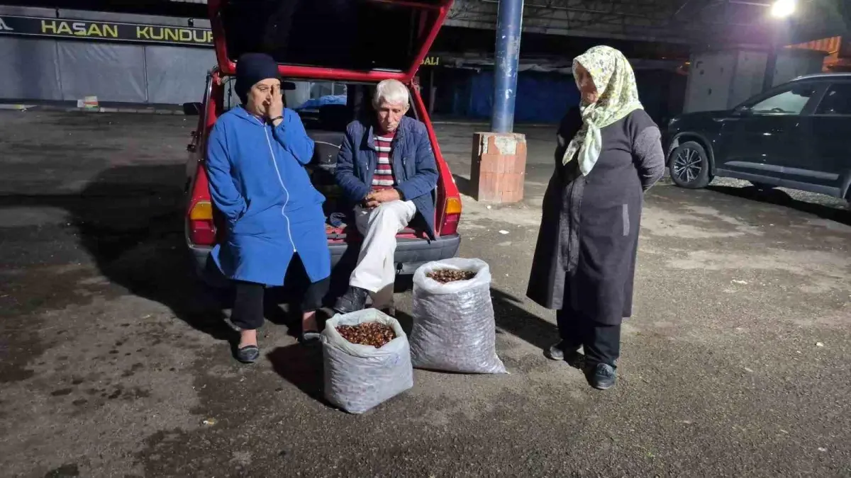 kuraklik kestane rekoltesini vurdu fiyatlar yukseliyor Xunpr1OS.jpg