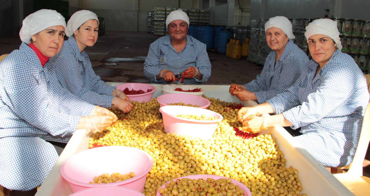 yesil zeytin ihracatinda tarihi rekor kirildi J7sKD2HW