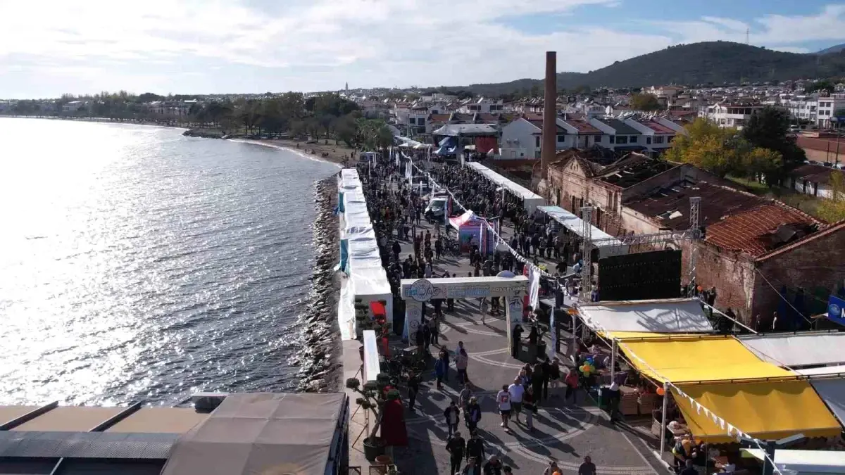 festolive edremit zeytinyagi tadim festivali tamamlandi RuhcwMg9.jpg