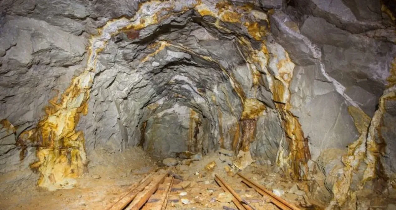 o ilimizin basina talih kusu kondu bugun milyarlarca liralik altin rezervi kesfedildi BbGWRXKS.jpg