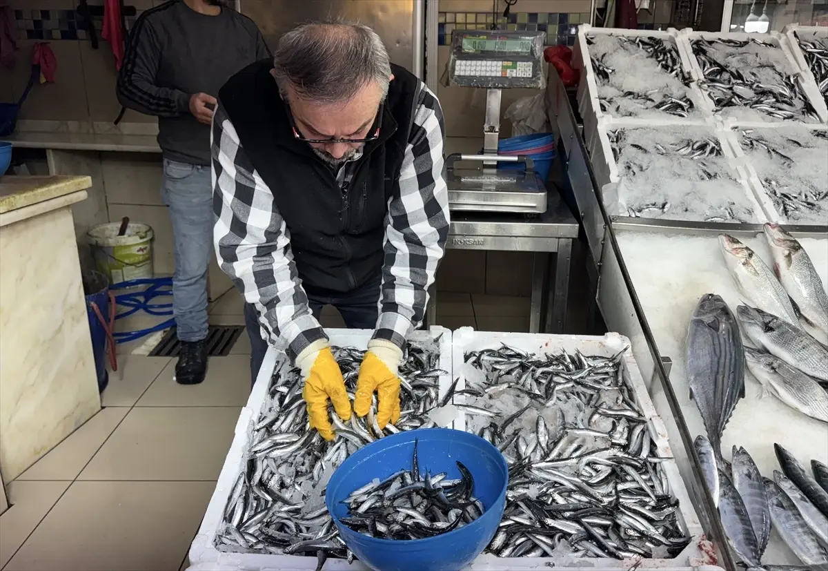 sinopta hamsi fiyatlari dustu UNDaDDpR.jpg