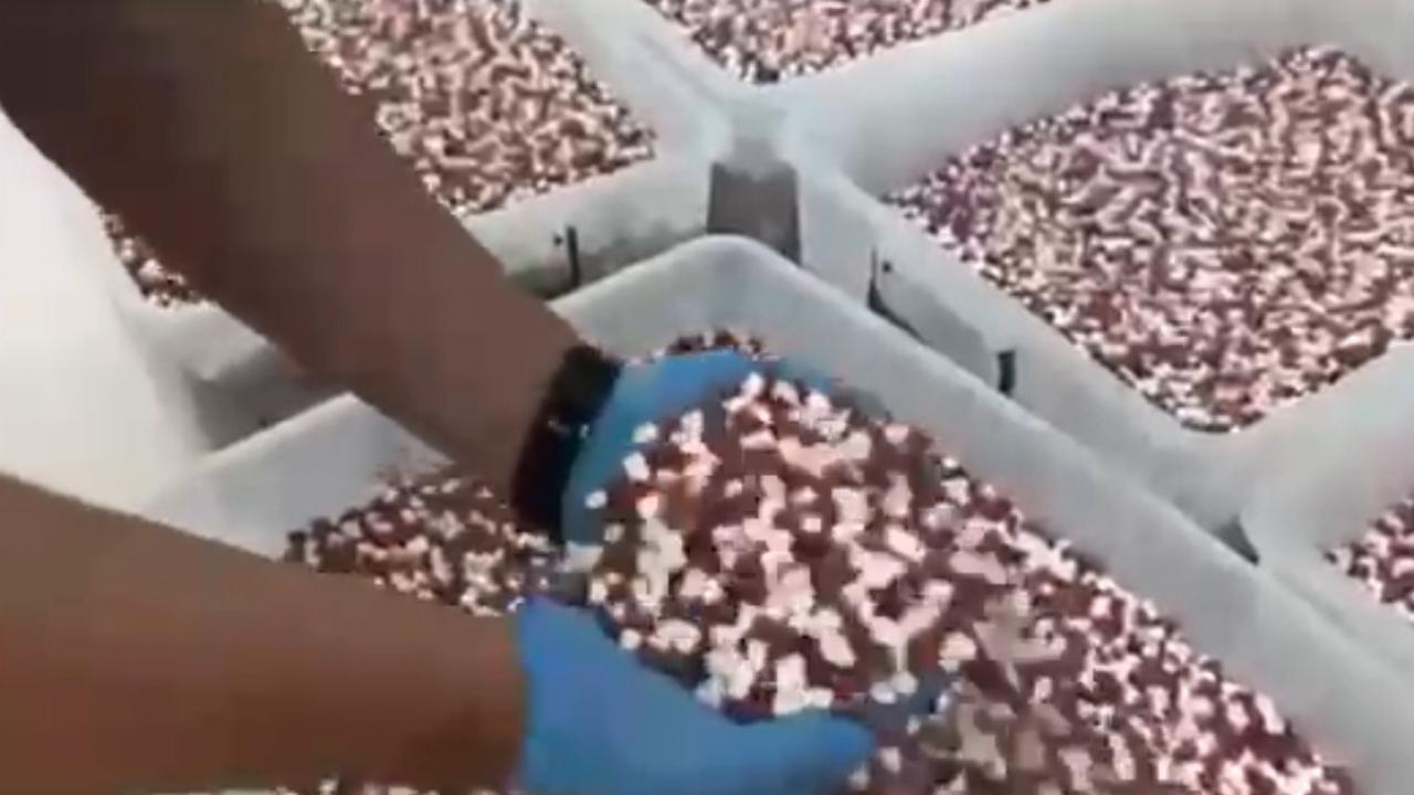 uyusturucu imalathanesine operasyonda 18 milyon sentetik ecza hap ele gecirildi UUXTIqxL.jpg