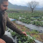 sason-cilegine-dolu-vurdu-a8gJlXBb